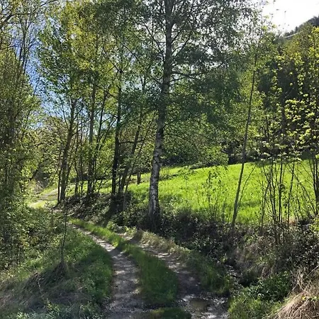 Apartmán Trekking E Natura Ai Piedi Del Monte Bianco!